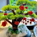 稀客四季宴 - 深圳市旅游 缩略图 4