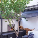 望听cafe·零湖落日下午茶(苏州太湖店) - 苏州市旅游 缩略图 7