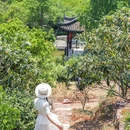 雨花胜境-南门 - 苏州市旅游 缩略图 2