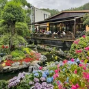 岳麓山国家重点风景名胜区 - 长沙市旅游 缩略图 3
