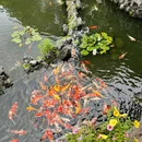 岳麓山国家重点风景名胜区 - 长沙市旅游 缩略图 6