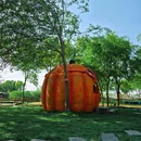 太仓电站村绿氧宝贝湾(霍比特亲子庄园) - 苏州市旅游 缩略图 8
