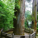 天目山留椿屋 - 杭州市旅游 缩略图 4