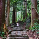 天目山留椿屋 - 杭州市旅游 缩略图 2