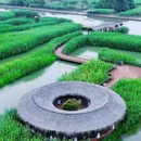 下渚湖国家湿地公园 - 湖州市旅游 缩略图 4