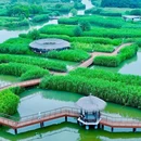 下渚湖国家湿地公园 - 湖州市旅游 缩略图 3