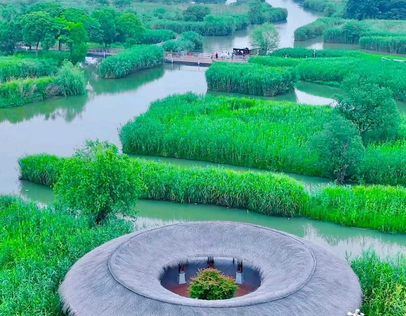 下渚湖国家湿地公园 - 湖州市旅游 1