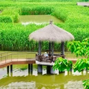 下渚湖国家湿地公园 - 湖州市旅游 缩略图 9