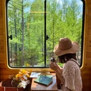 莫尔道嘎国家森林公园 - 呼伦贝尔市旅游 缩略图 2