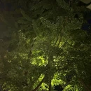弘民商业广场 - 成都市旅游 缩略图 1