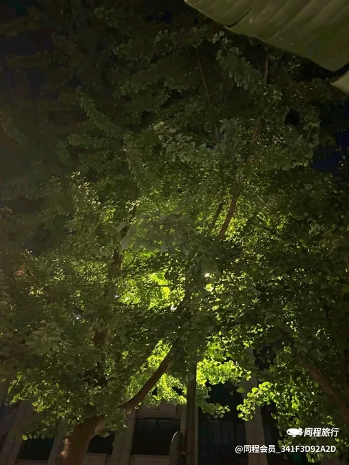 弘民商业广场 - 成都市旅游