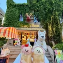 威尼斯水城 - 大连旅游 缩略图 9