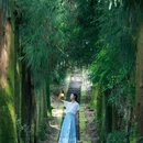 蒙顶山风景名胜区 - 雅安市旅游 缩略图 3