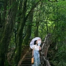 蒙顶山风景名胜区 - 雅安市旅游 缩略图 1