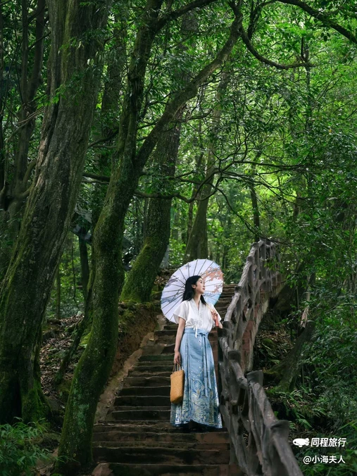 蒙顶山风景名胜区 - 雅安市旅游