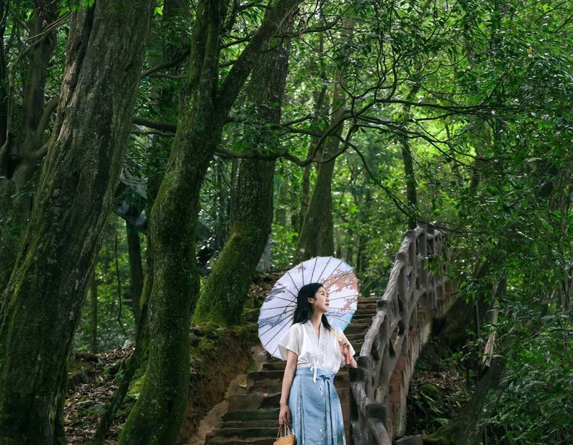 蒙顶山风景名胜区 - 雅安市旅游 1
