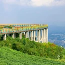 蒙顶山风景名胜区 - 雅安市旅游 缩略图 9