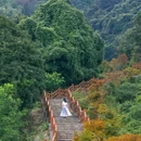 蒙顶山风景名胜区 - 雅安市旅游 缩略图 7