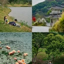 广州香格里拉 - 广州市旅游 缩略图 1