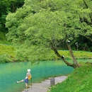 喇叭河风景区 - 雅安市旅游 缩略图 2