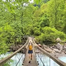喇叭河风景区 - 雅安市旅游 缩略图 7