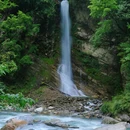 喇叭河风景区 - 雅安市旅游 缩略图 8