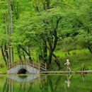 喇叭河风景区 - 雅安市旅游 缩略图 6