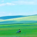 海拉尔国家森林公园 - 呼伦贝尔市旅游 缩略图 4