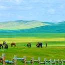 海拉尔国家森林公园 - 呼伦贝尔市旅游 缩略图 8
