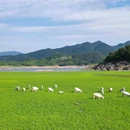 亭下湖 - 宁波市旅游 缩略图 5