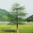 亭下湖 - 宁波市旅游 缩略图 2