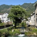 察关村 - 上饶市旅游 缩略图 6