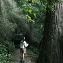 天目山西路 - 杭州市旅游 缩略图 1