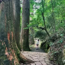 天目山西路 - 杭州市旅游 缩略图 4
