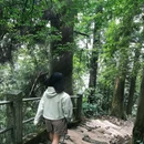 天目山西路 - 杭州市旅游 缩略图 5