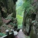 天目山西路 - 杭州市旅游 缩略图 6