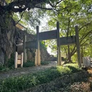 七星岩景区-中恒林 - 肇庆市旅游 缩略图 1