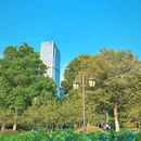 杏花公园 - 合肥市旅游 缩略图 5