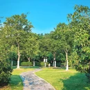 杏花公园 - 合肥市旅游 缩略图 4