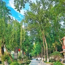 浮庄 - 合肥市旅游 缩略图 9