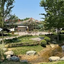 马帮寨·生日主题馆·团建聚餐·宴请·烤肉(空港花田店) - 成都市旅游 缩略图 5