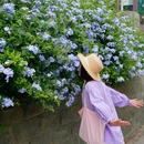 惠王陵东路 - 成都市旅游 缩略图 7