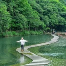 镜岭安山古道 - 绍兴市旅游 缩略图 2