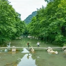 镜岭安山古道 - 绍兴市旅游 缩略图 7