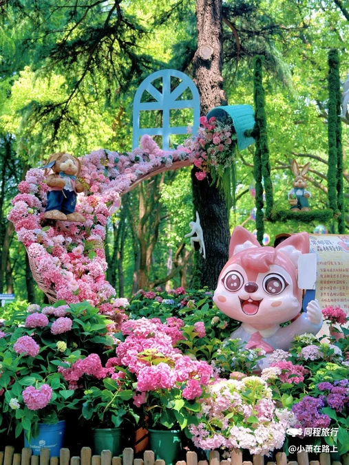 共青国家森林公园 - 上海市旅游