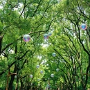 共青国家森林公园 - 上海市旅游 缩略图 4