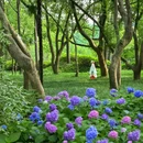 无锡太湖鼋头渚风景区 - 无锡市旅游 缩略图 7
