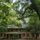 中山大学(广州校区南校园)北门广场 - 广州市旅游 缩略图 3