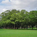 中山大学(广州校区南校园)北门广场 - 广州市旅游 缩略图 7