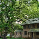 中山大学(广州校区南校园)北门广场 - 广州市旅游 缩略图 6